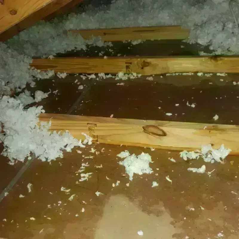 Attic Water Damage in Covington, GA