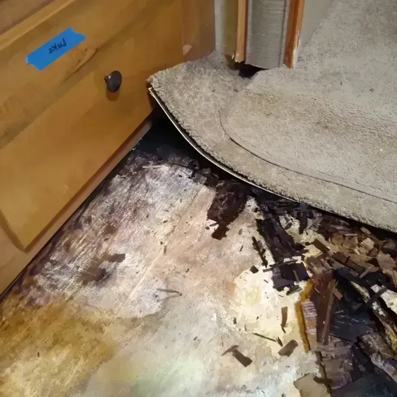 Wood Floor Water Damage in Covington, GA